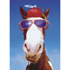 Silly Don't Look a Gift Horse in the Mouth Card - Click Image to Close